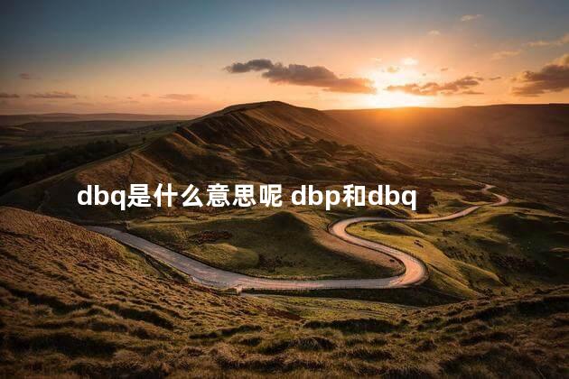 dbq是什么意思呢 dbp和dbq